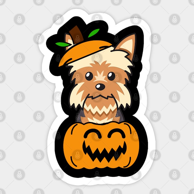 Funny yorkshire terrier is in a pumpkin Sticker by Pet Station